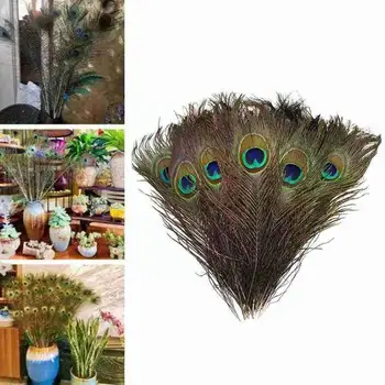 2021 Uusi Loomingulisi Kõrge Kvaliteedi Peacock Feather Saba Voodi Isiku abil Teenetemärgi Pere Sulg Tuba Tuba Pulmad Decor Elu W0Q1
