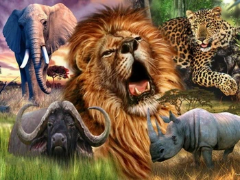 JMINE Div 5D Aafrika Metsloomade Lõvi, Elevant, jõehobu Täielik Teemant Maali kits art Scenic 3D värvi, mida teemandid